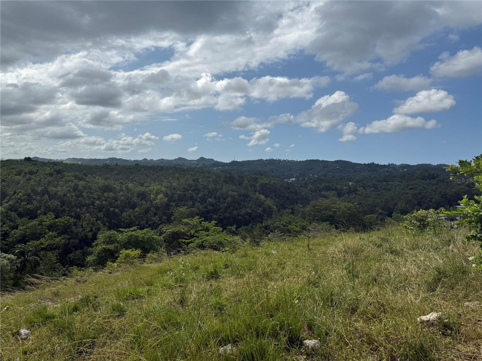 PR 6684 BUENA VISTA KM HM 2.5