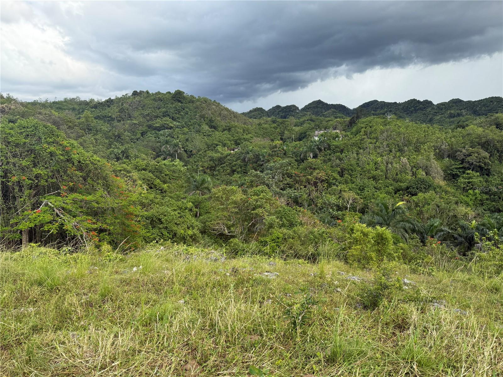 PR 6684 BUENA VISTA KM HM 2.5