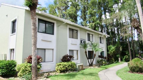 Photo of 20861 Haulover Cove #C4, Lutz, FL 33558 (MLS # TB8431405)