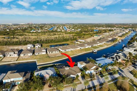 A home in APOLLO BEACH