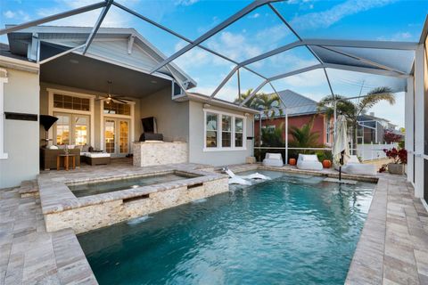 A home in APOLLO BEACH