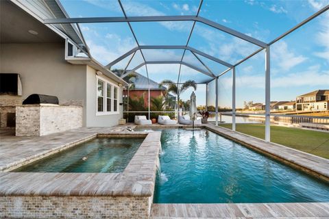 A home in APOLLO BEACH