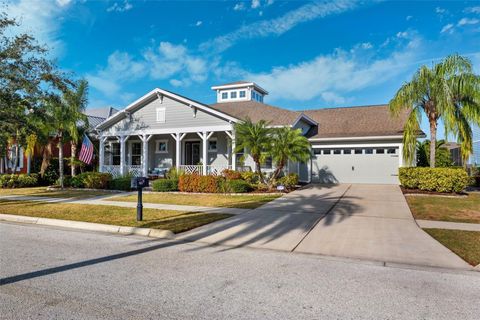 A home in APOLLO BEACH