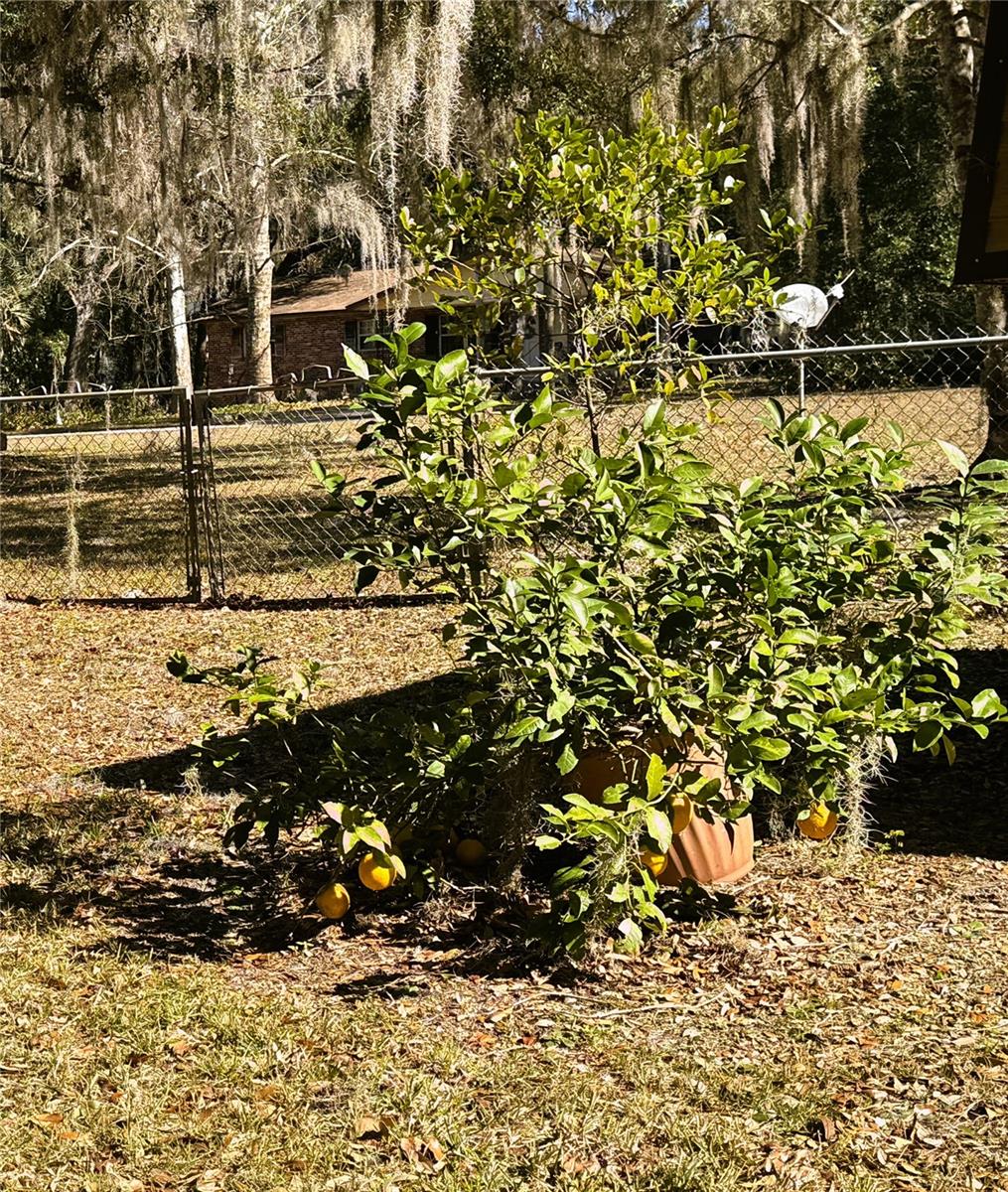 RAINBOW LAKES ESTATES - Residential