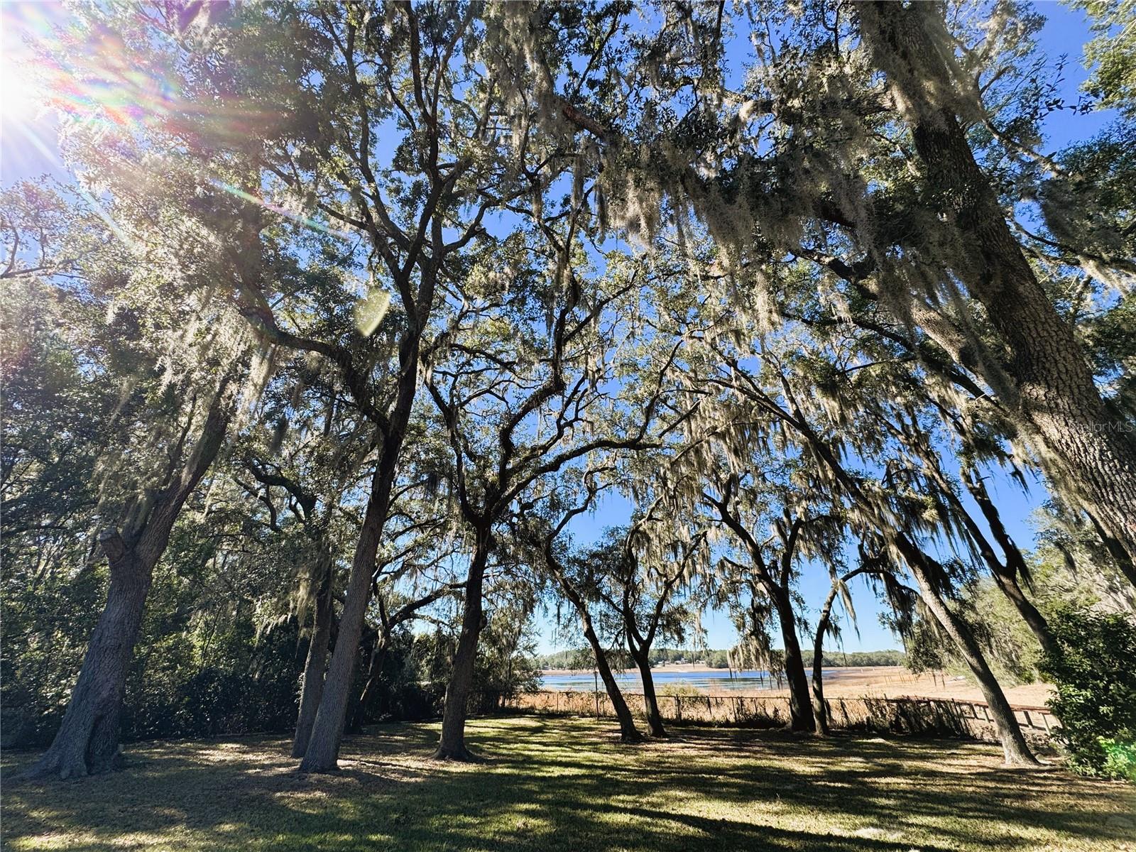 RAINBOW LAKES ESTATES - Residential