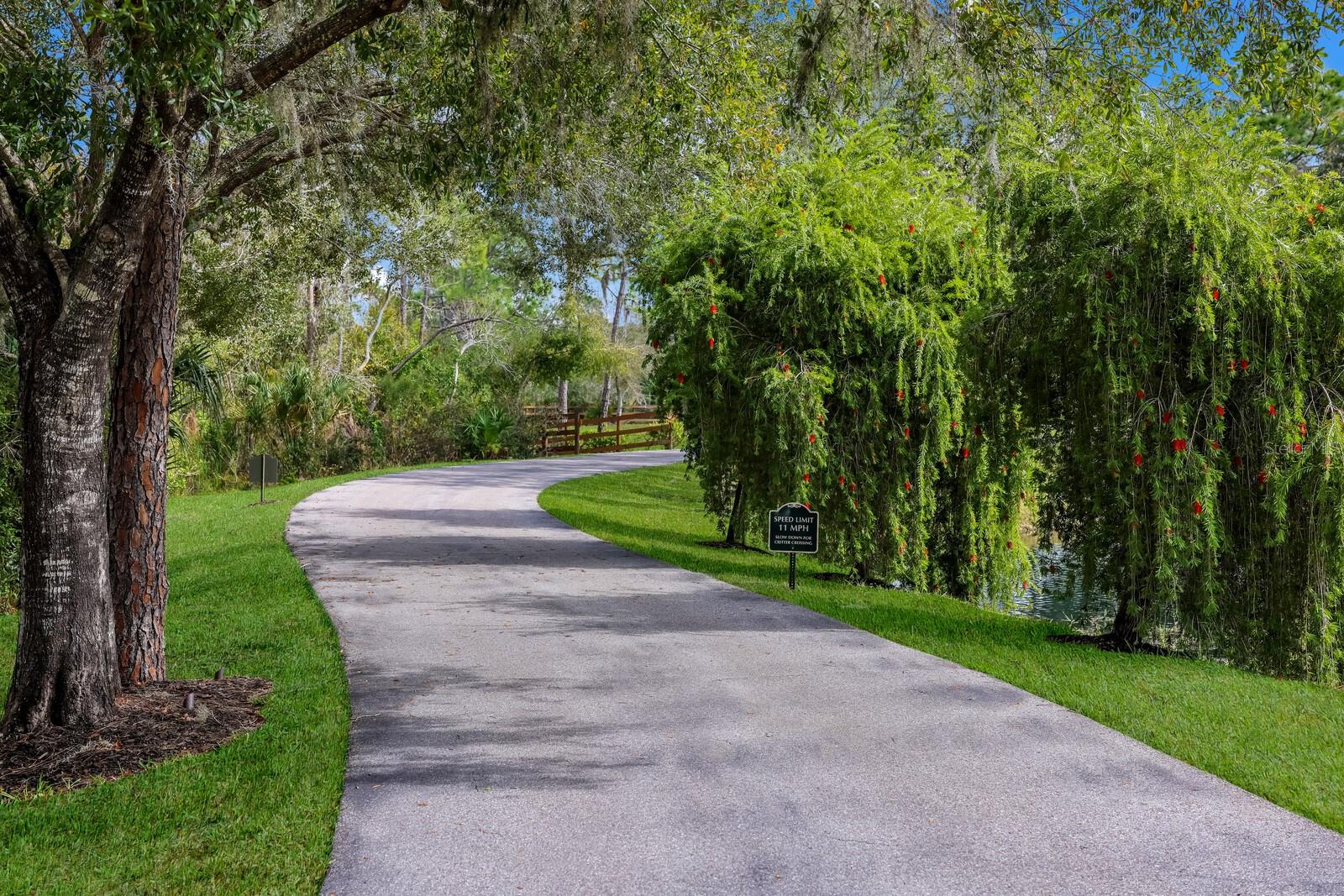 PANTHER RIDGE - Residential