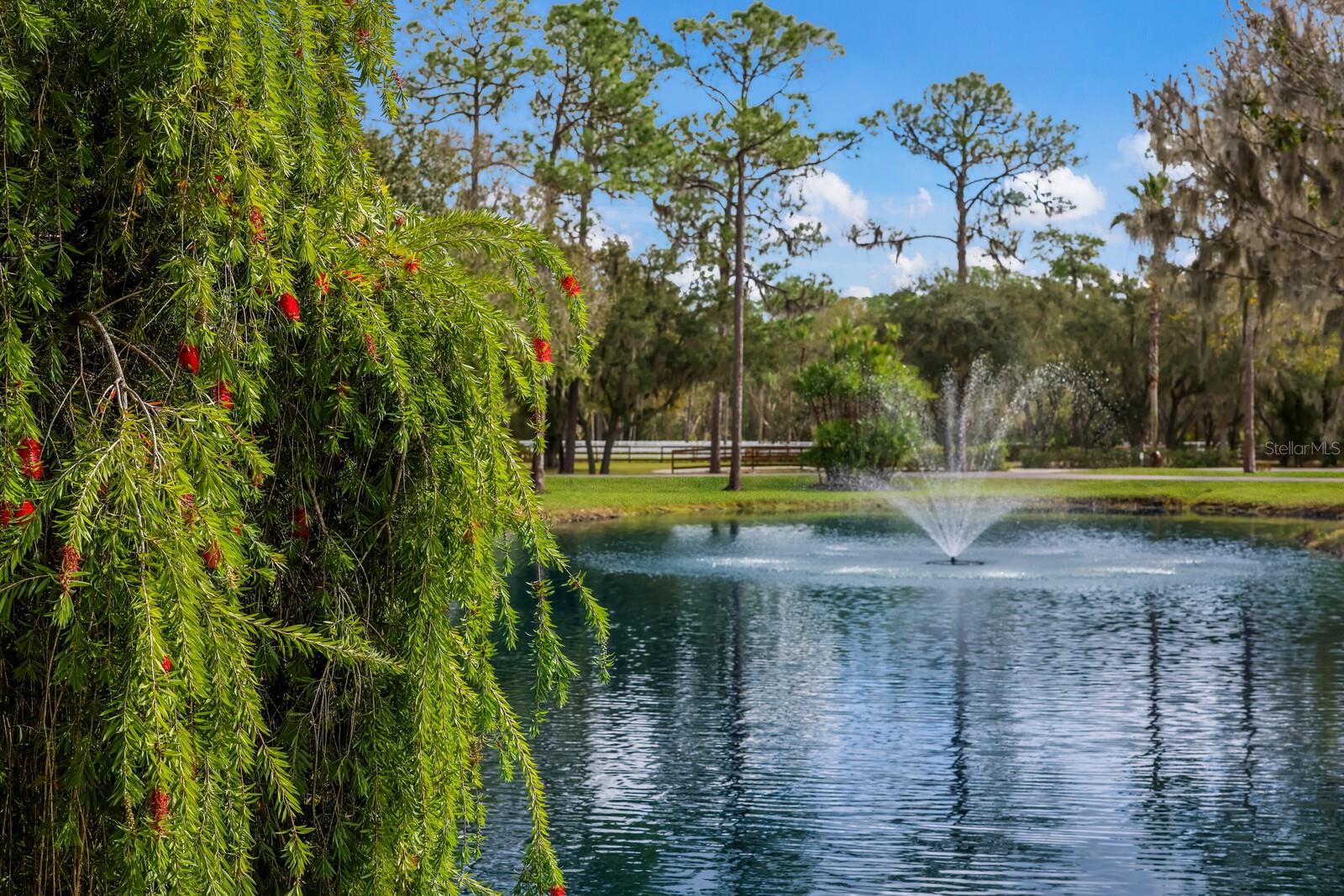 PANTHER RIDGE - Residential