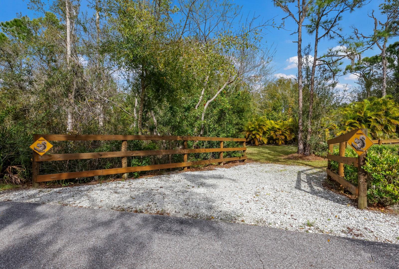 PANTHER RIDGE - Residential