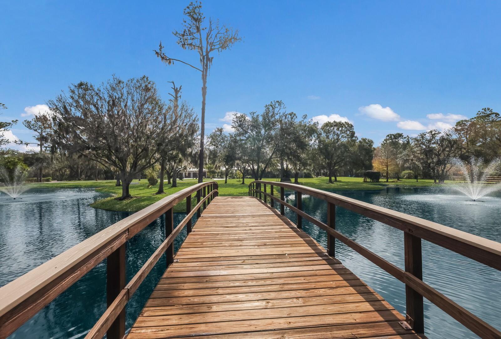 PANTHER RIDGE - Residential