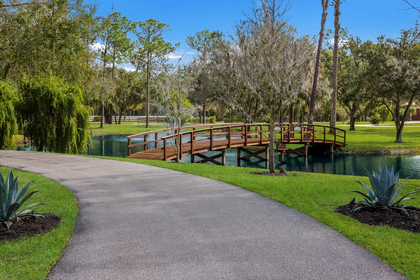 PANTHER RIDGE - Residential