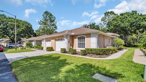 A home in PALM HARBOR