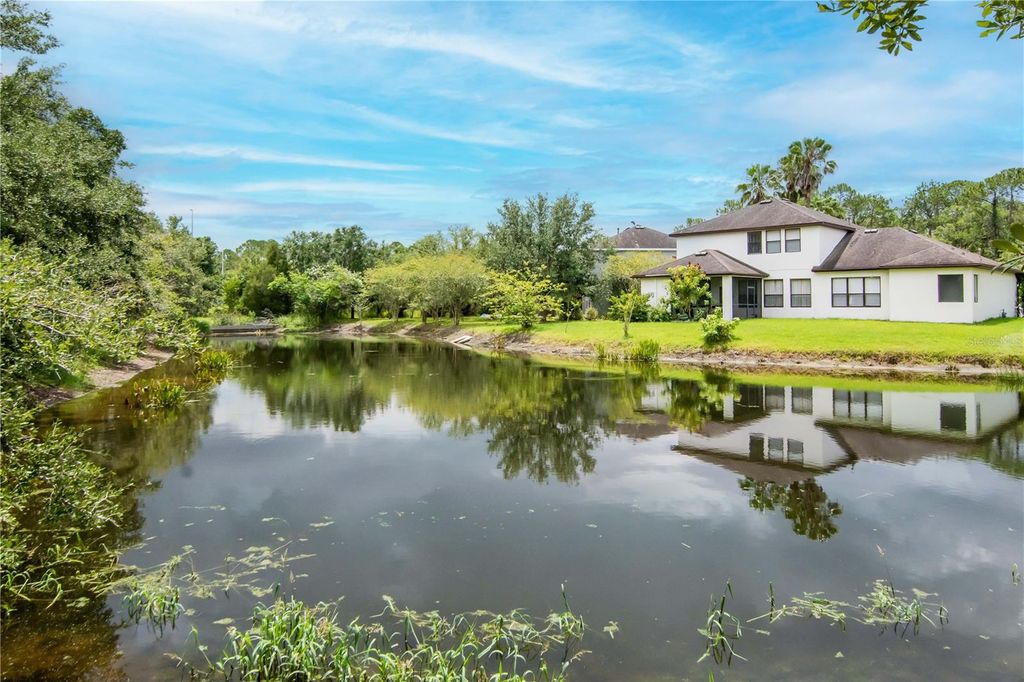 Photo of 16115 Colchester Palms Drive, Tampa, FL 33647 (MLS # TB8402013)