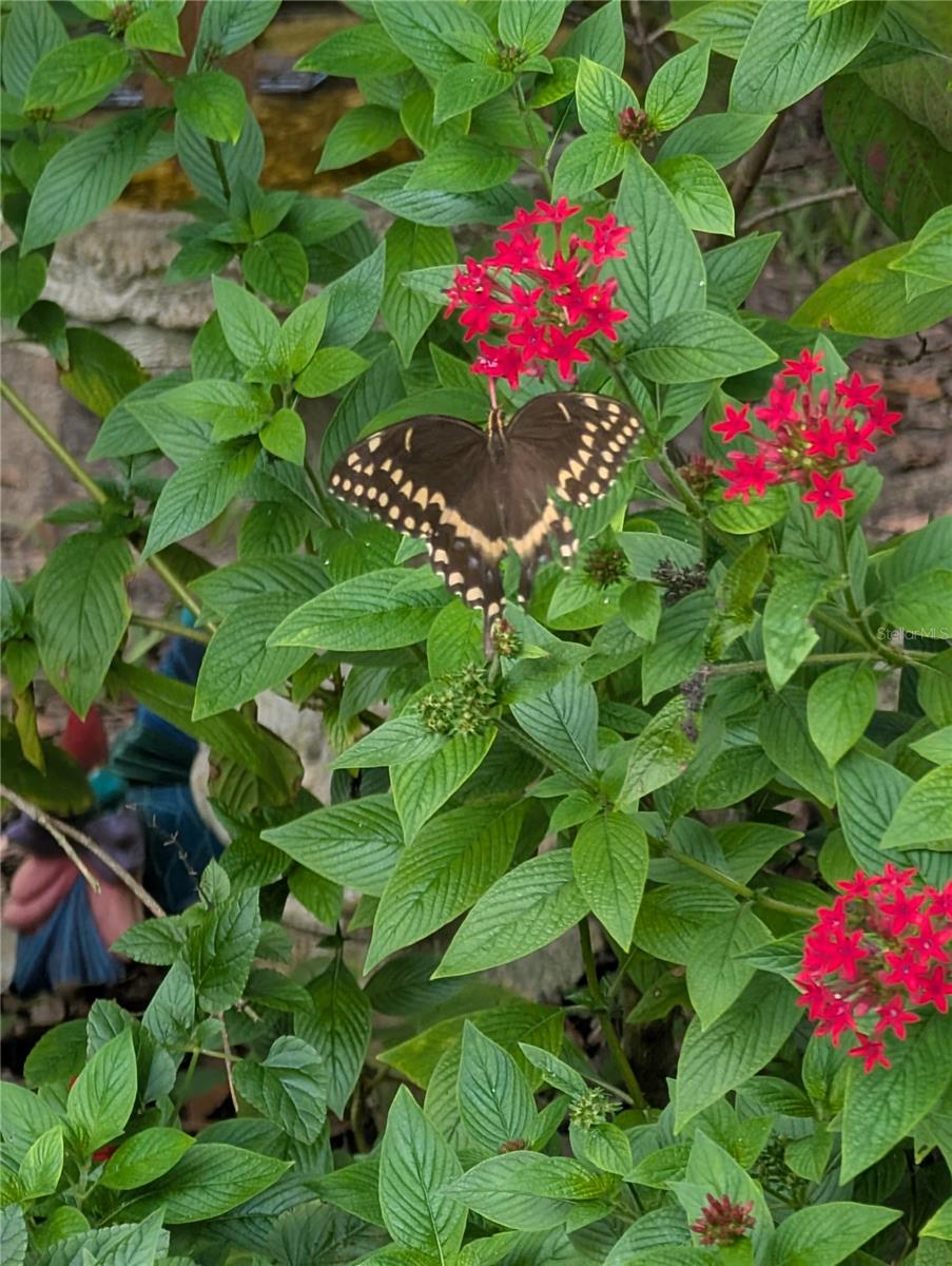 ASSESSORS BETTS GRANT - Residential