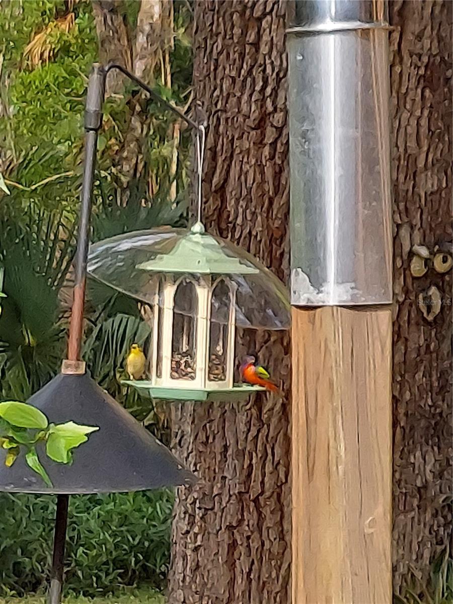 ASSESSORS BETTS GRANT - Residential