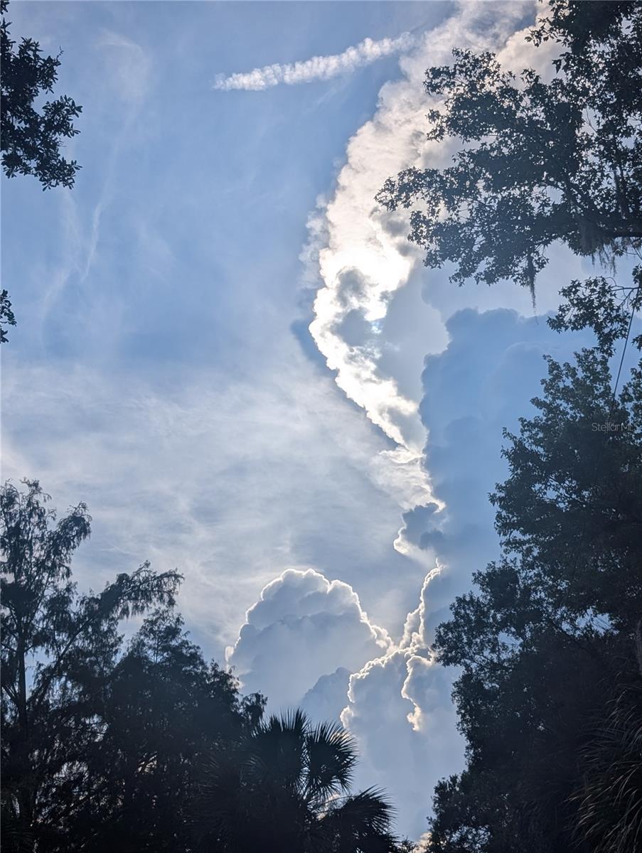 ASSESSORS BETTS GRANT - Residential