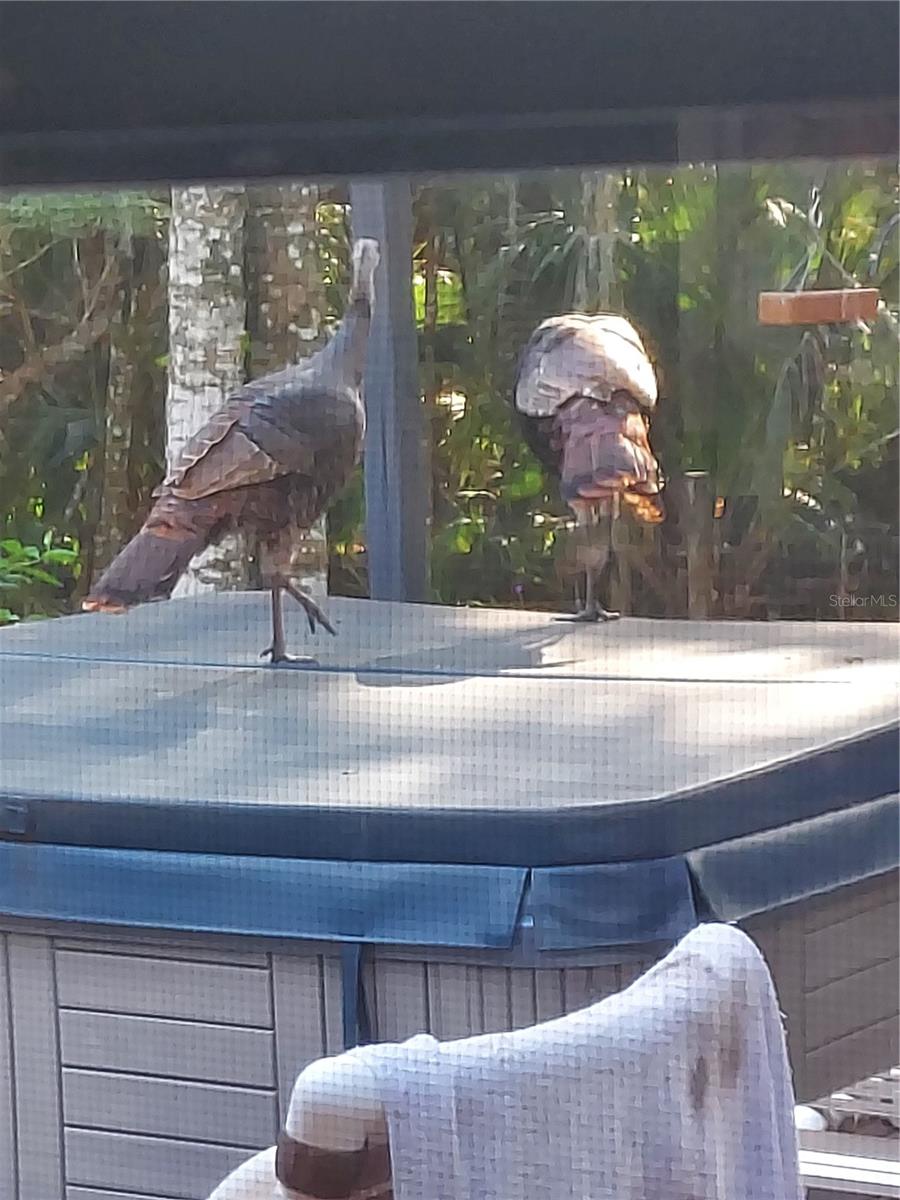 ASSESSORS BETTS GRANT - Residential