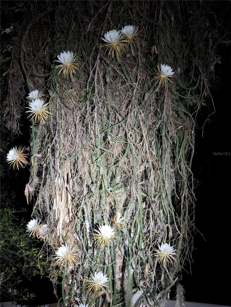 ASSESSORS BETTS GRANT - Residential