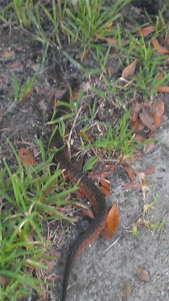 ASSESSORS BETTS GRANT - Residential