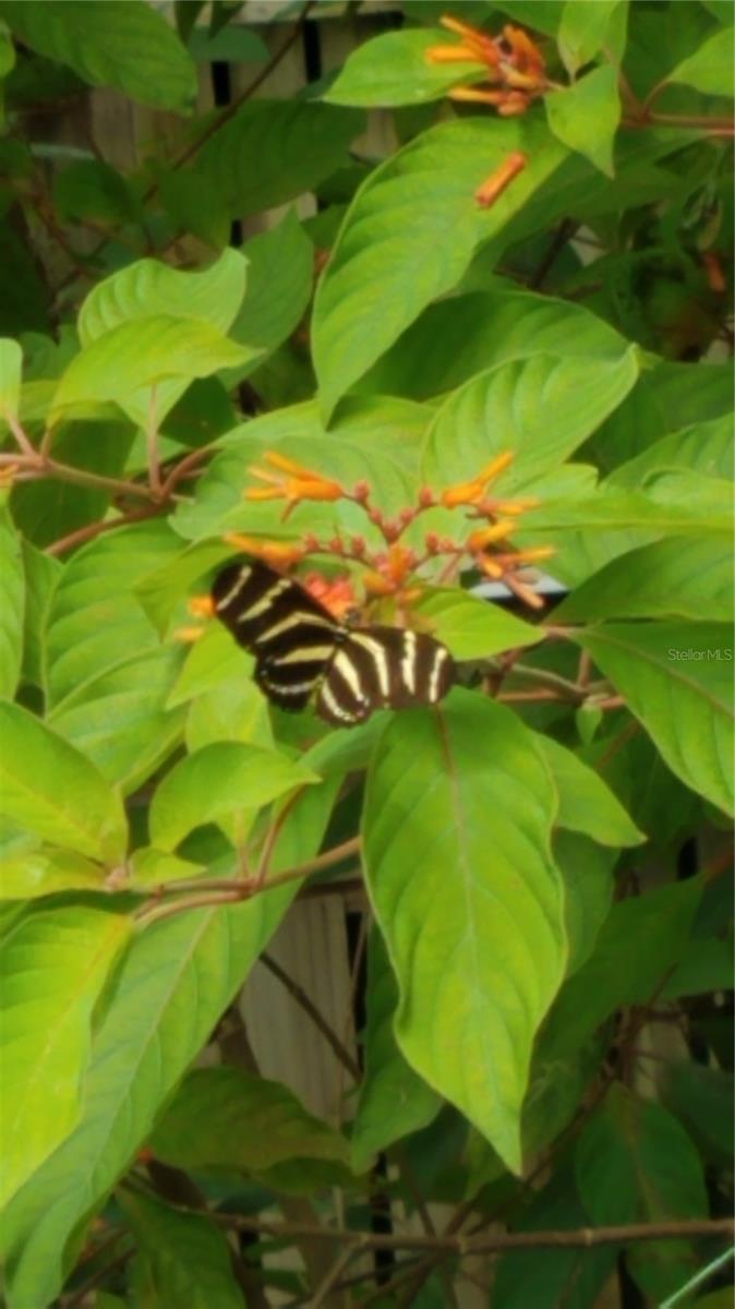 ASSESSORS BETTS GRANT - Residential