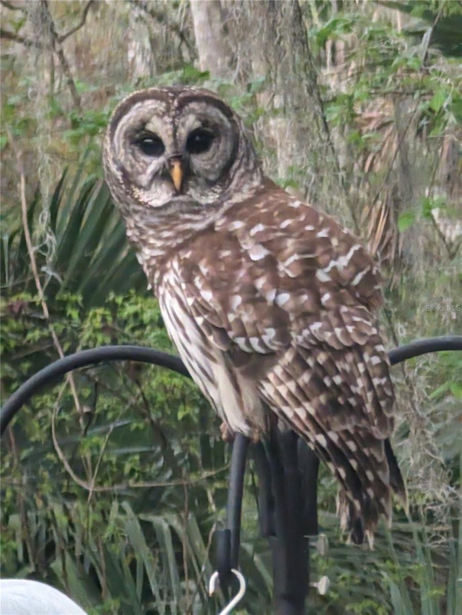 ASSESSORS BETTS GRANT - Residential