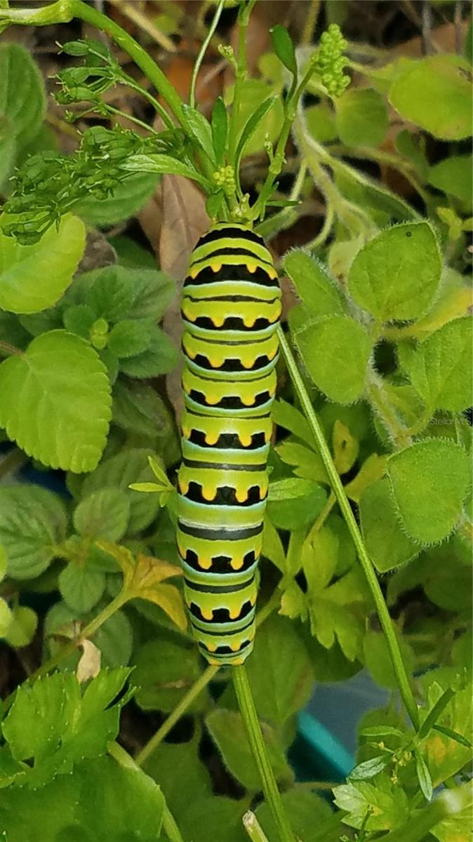 ASSESSORS BETTS GRANT - Residential