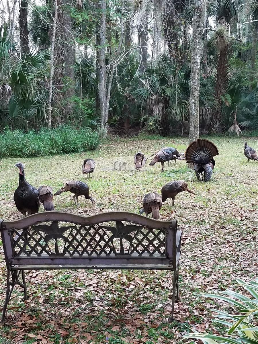 ASSESSORS BETTS GRANT - Residential