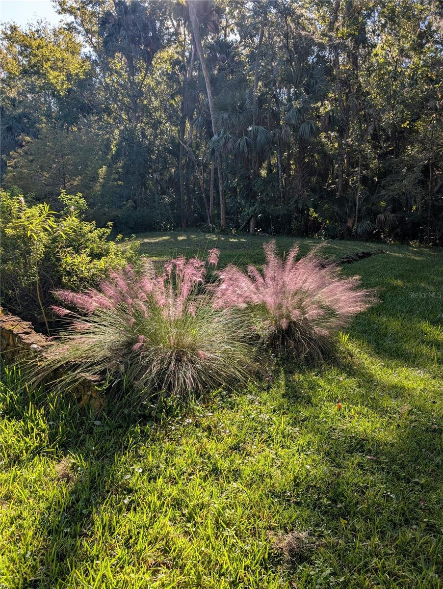 ASSESSORS BETTS GRANT - Residential