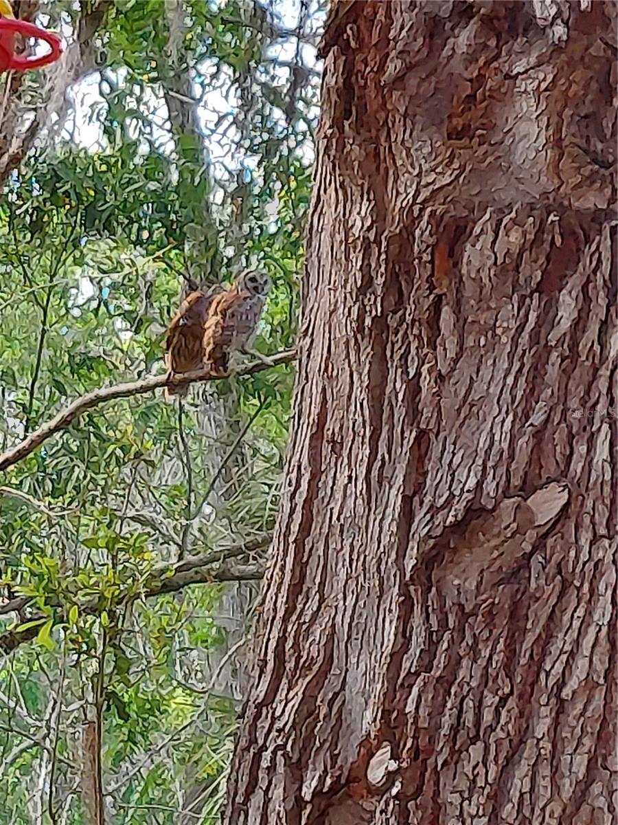 ASSESSORS BETTS GRANT - Residential