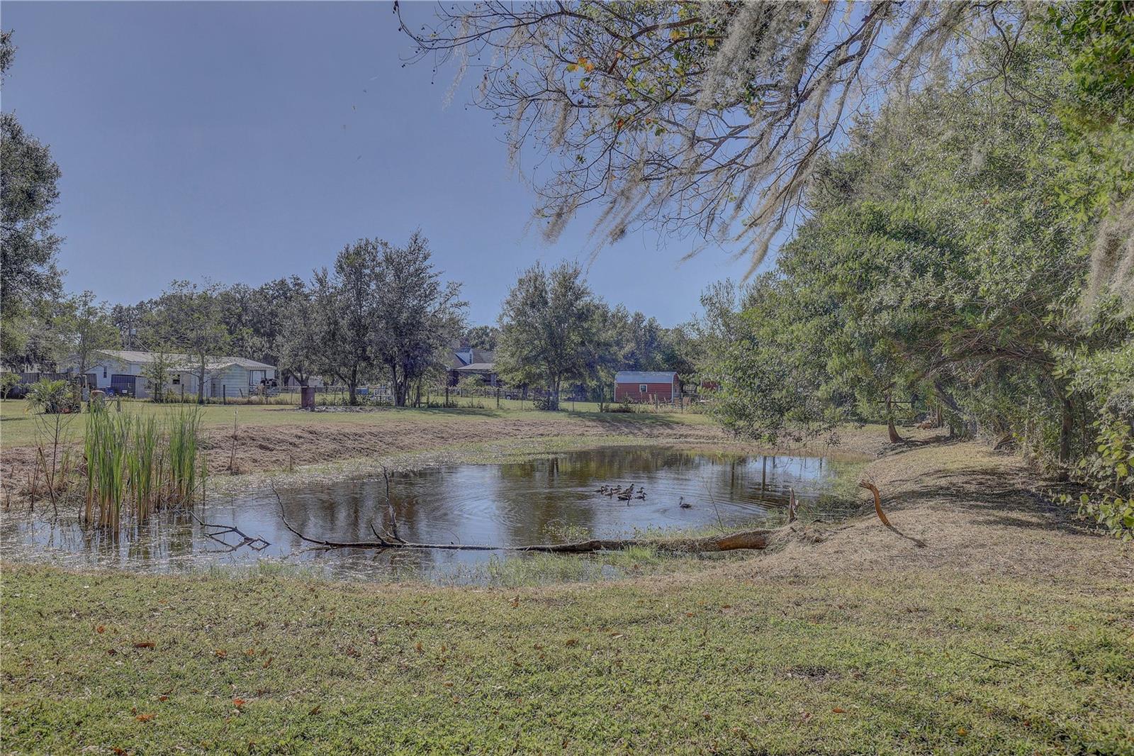 UNPLATTED - Residential