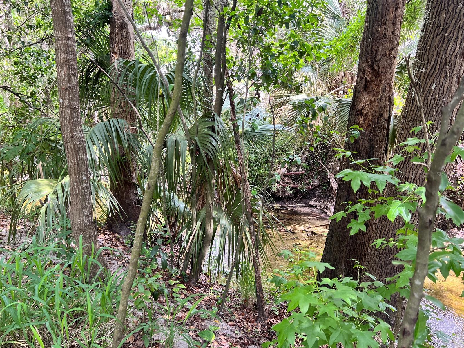 HIDDEN SPGS CONDO - Residential
