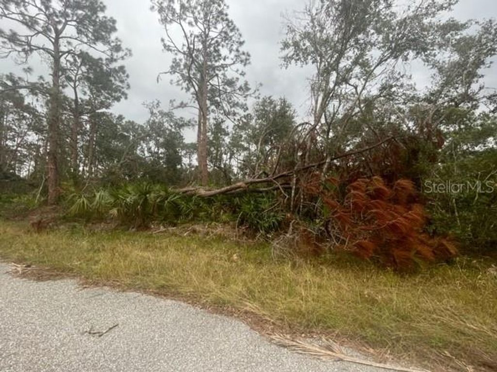Photo of 17051 Carson Avenue, Port Charlotte, FL 33948 (MLS # C7514543)