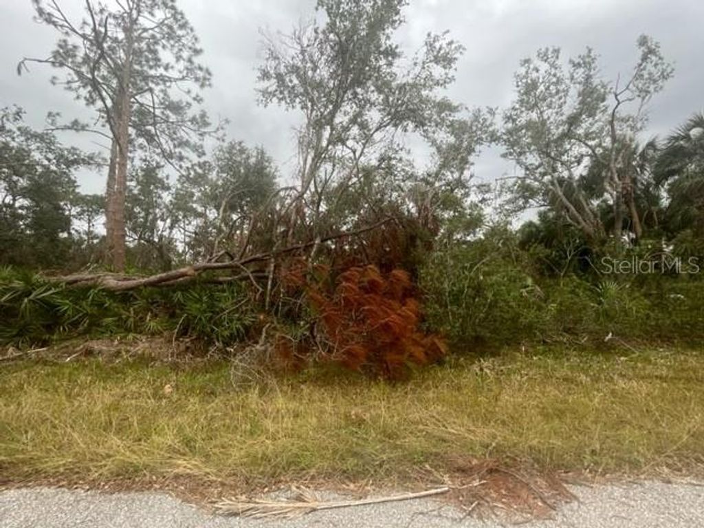 Photo of 17051 Carson Avenue, Port Charlotte, FL 33948 (MLS # C7514543)