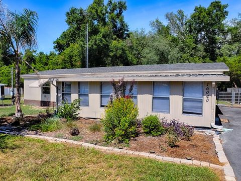 Tiny photo for 16040 SE 95th Court, Summerfield, FL 34491 (MLS # G5114474)