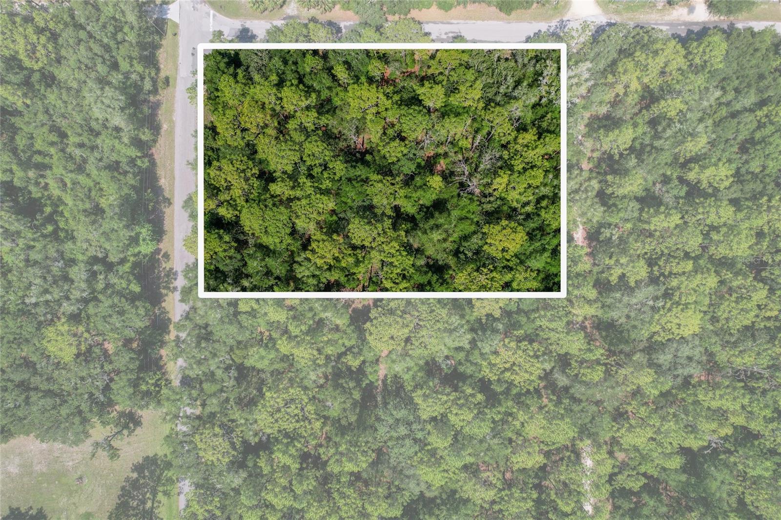 Take me down to the lot on Sun City where the grass is green and the trees are pretty, won’t you please take me home?
Check out this opportunity to own a lot in the heart of the Nature Coast! This is a corner lot, located on a paved road, near the boat ramp, with no flood zone! This lot is located in Rainbow Estates on the North side of the county. Near by there is so much to do and see. There are many trails, boarding and training locations all around. There are some awesome local fishing spots to explore, great biking trails and bird watching sanctuaries near by. You will be close enough to the water to enjoy and far enough away to be safe (HIGH AND DRY). Don't miss scallop season. Some of the best fishing in the world can be found in our rivers, lakes and bays. You can catch a bass, crappie, trout, red fish, snook, grouper, mackerel, black sea bass and scallops.... all on the same trip. Bring your pole, goggles, scallop bag and more to stay busy year round. There are plenty of fantastic options when it comes locally owned cuisine and shops that are sprinkled throughout the area. Citrus County will be a joy to visit and certainly worth a second look! Also, the centralized location makes for a short trip to Ocala (HORSE CAPITAL OF THE WORLD), Gainesville, Tampa, St.Pete, Orlando and the rest of the beauty that Central Florida has to offer. Citrus county has 9 public and 5 private golf courses for your playing pleasure. Among those courses is the world renowned Black Diamond and the recently built Cabot Farms. All courses are a short drive away.