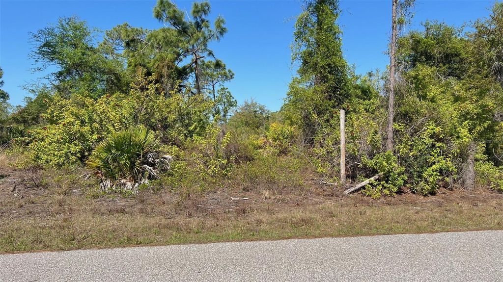 Photo of 4397 Kennel Street, Port Charlotte, FL 33981 (MLS # D6146767)