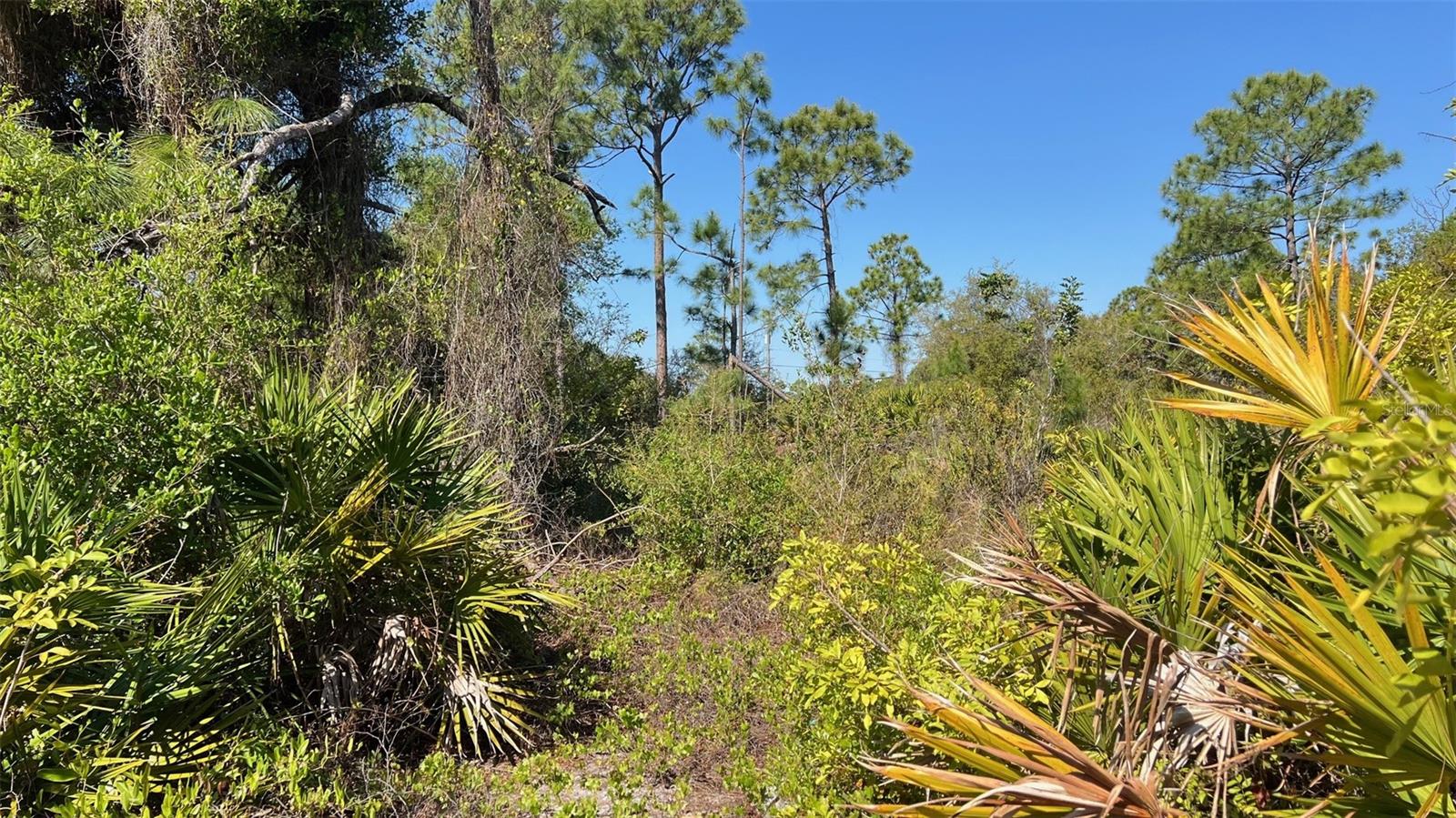 PORT CHARLOTTE SEC 056 - Land