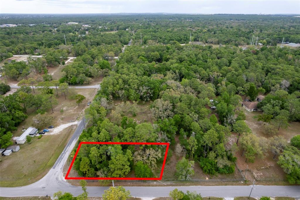 Photo of 16021 Forzando Avenue, Brooksville, FL 34604 (MLS # TB8495110)