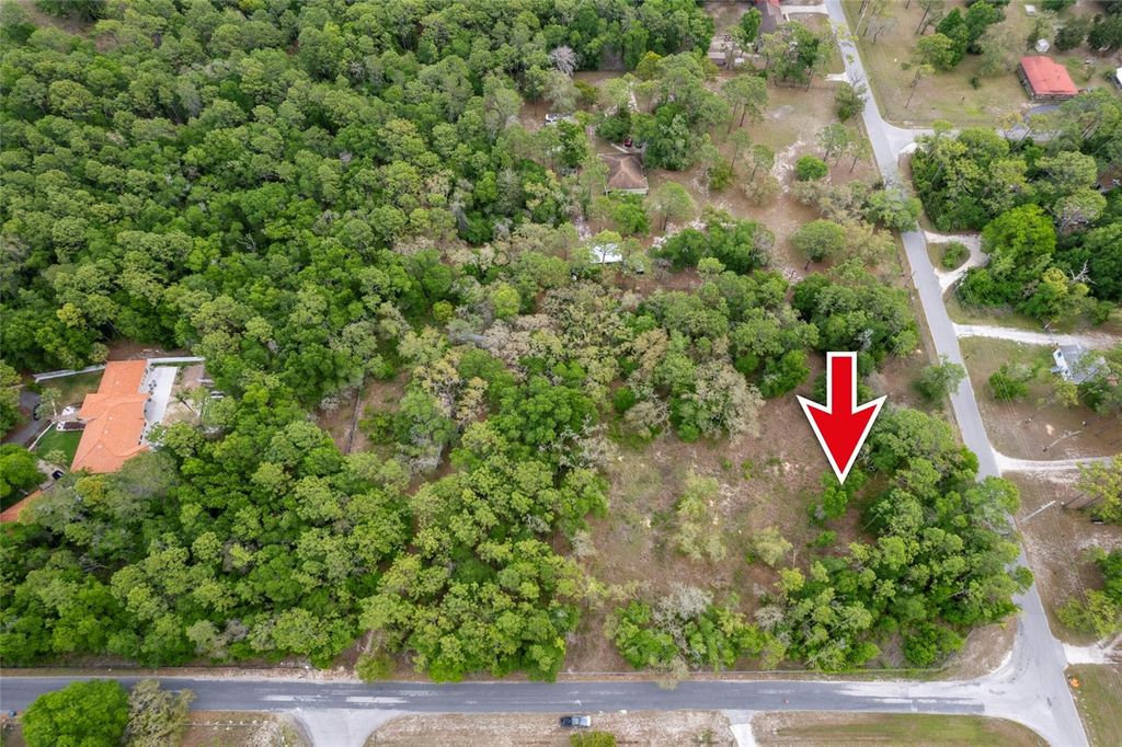 Photo of 16021 Forzando Avenue, Brooksville, FL 34604 (MLS # TB8495110)