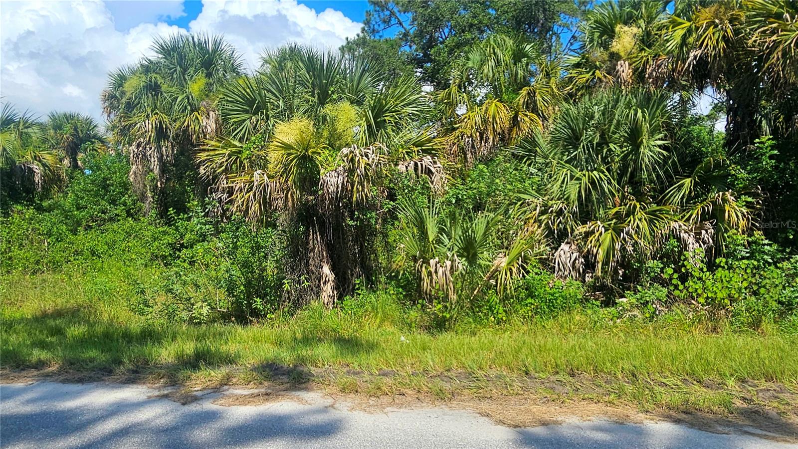 PORT CHARLOTTE SUB 25 - Land