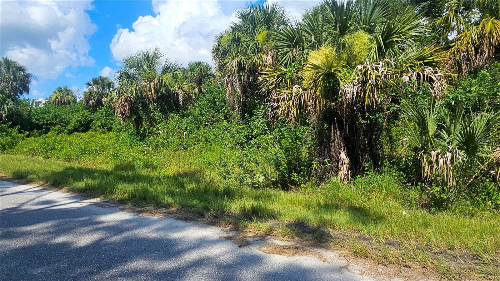 PORT CHARLOTTE SUB 25 - Land