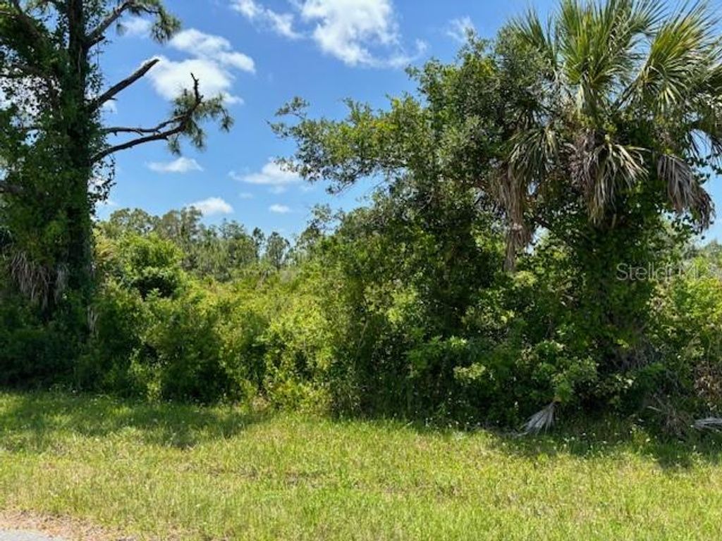 Photo of 2357 Remagen Street, Port Charlotte, FL 33953 (MLS # C7492780)