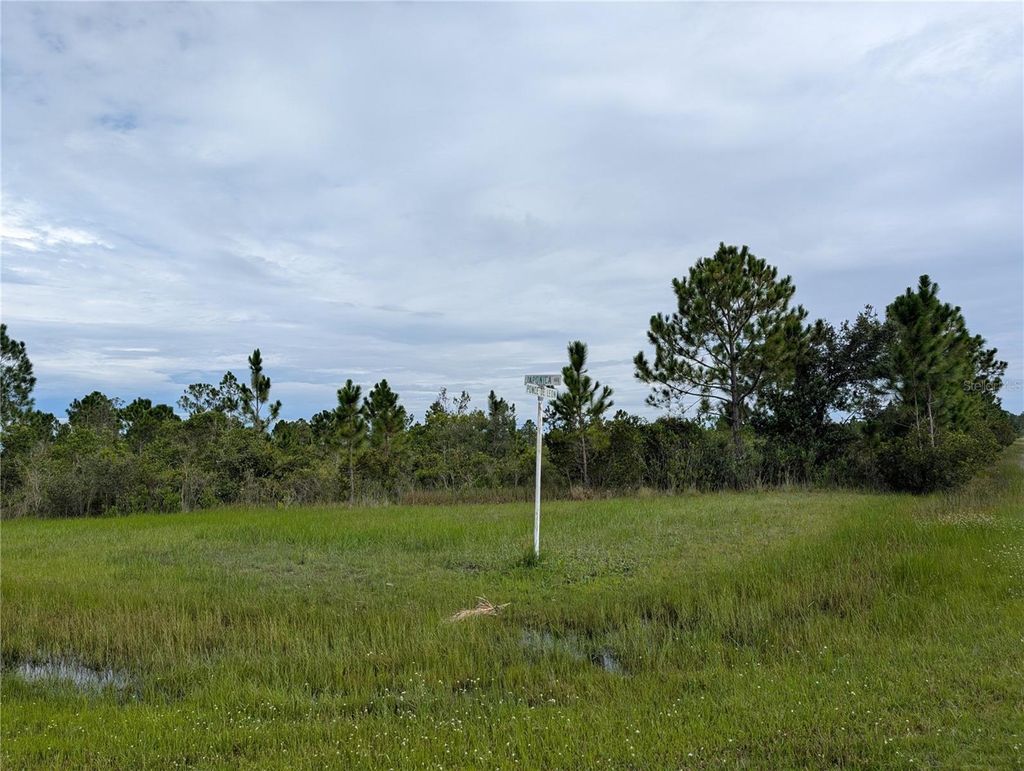 Photo of 303 Japonica Avenue, Indian Lake Estates, FL 33855 (MLS # TB8415425)