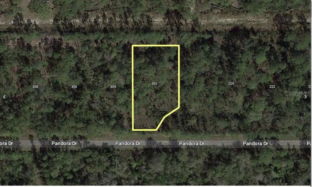 Photo of 303 Japonica Avenue, Indian Lake Estates, FL 33855 (MLS # TB8415425)