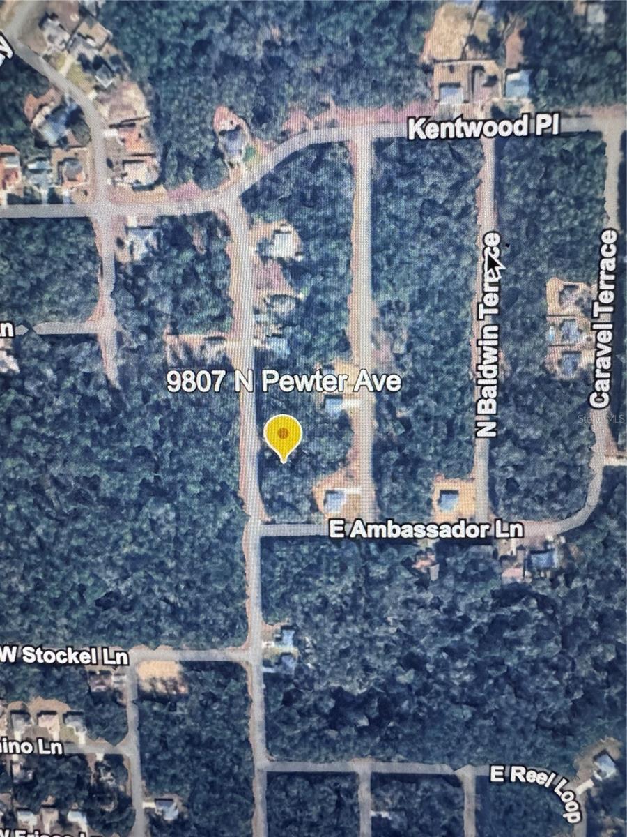 CITRUS SPGS UNIT 26 - Land