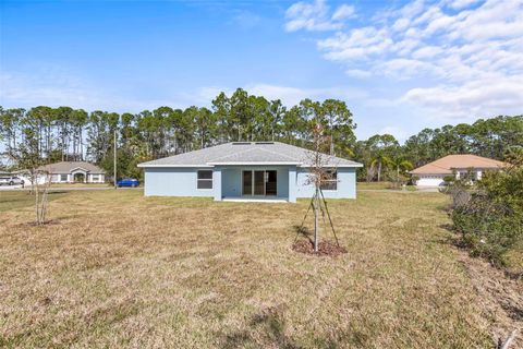 A home in PALM COAST