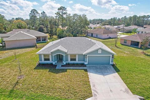 A home in PALM COAST