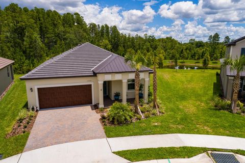 A home in LAND O LAKES