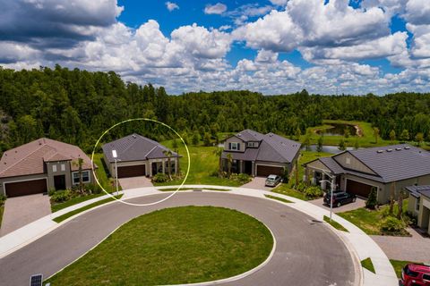 A home in LAND O LAKES