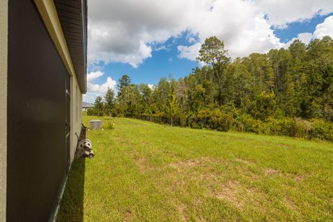 A home in LAND O LAKES