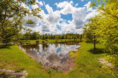 A home in LAND O LAKES